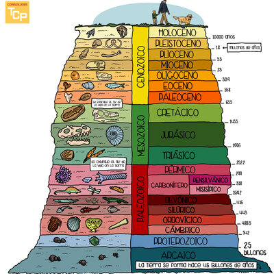 Timeline: Eras y periodos Geológicos (Andrés Felipe Cadena Castillo y Juan David López Yara 904J.M)