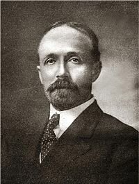 Divisão do reino protista