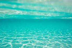 Nueva moda en los viajes