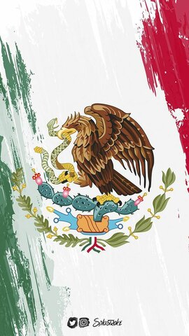 Ley de transparencia en México