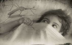 Lanzamiento del Programa de Erradicación del Paludismo, cuyo objetivo se modificó en 1969.