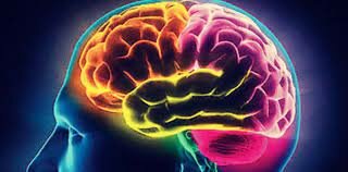 Platón y los procesos mentales.