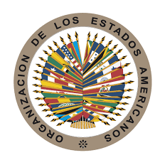 La Asamblea General de la OEA (2011)
