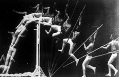 Sports Photography Introduced World Wide