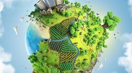 Timeline: Fundamentos de la cultura ambiental