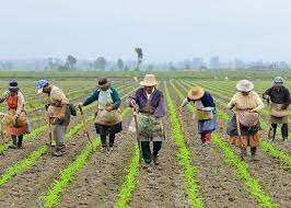 Colombia deja de ser agrario.