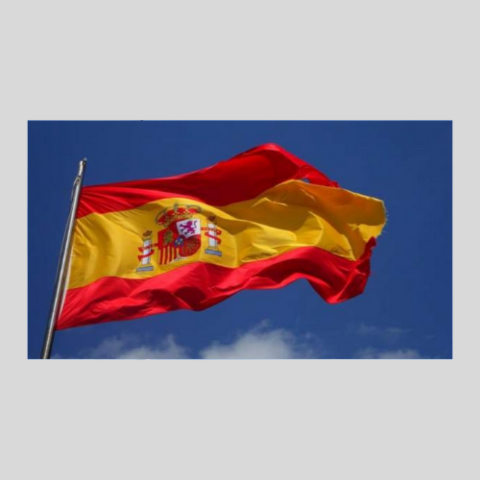 Ley Orgánica de España