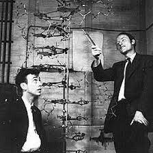 Teoría de la estructura de la molécula de la vida.