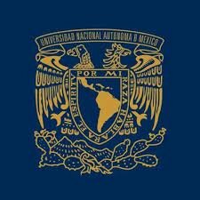 Estudios de la licenciatura en psicología.