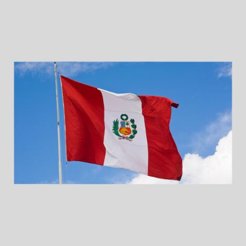 Peru y su Ley 29.733