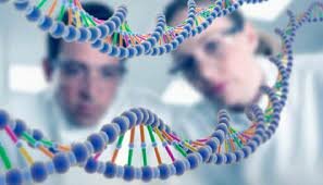 Inicio de la ingeniería genética.