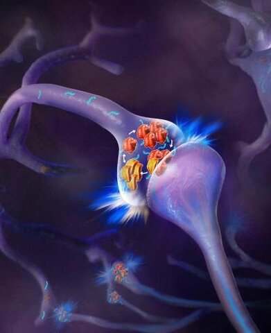 Santiago Ramón y Cajal