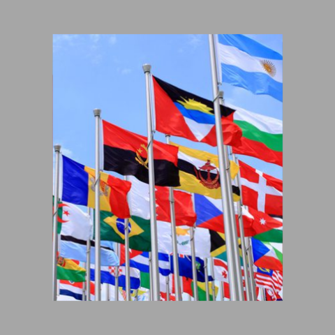 Pacto Internacional de los Derechos Civiles y Políticos