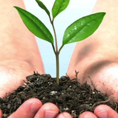 Timeline: Acontecimientos en la Cultura Ambiental.