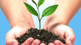 Timeline: Acontecimientos en la Cultura Ambiental.