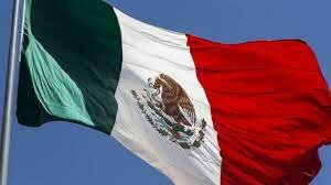 PUBLICACIÓN EN PRIMERA SECCIÓN