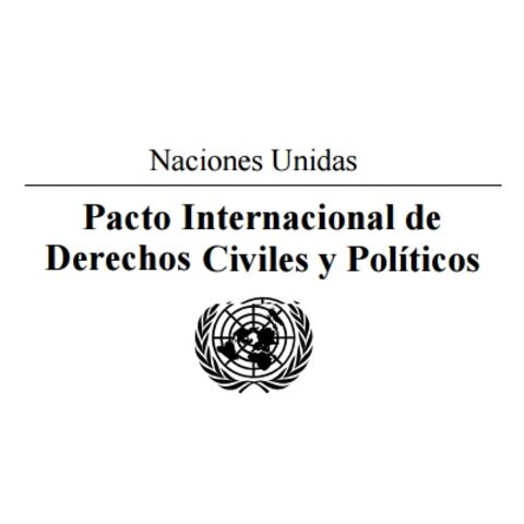 Artículo 17 del Pacto Internacional de los Derechos Civiles y Políticos.