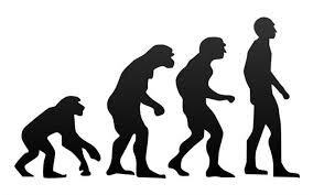 Evolucionismo.