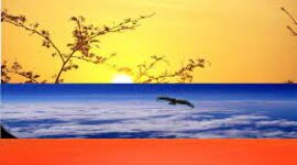 Timeline: HISTORIA DE COLOMBIA SIGLO XX Y XXI