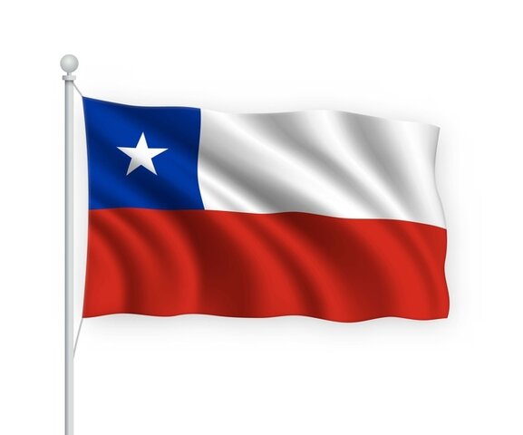 Chile Ley 19628