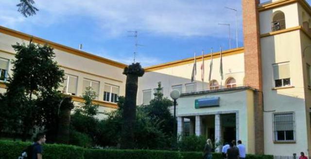 Comienzo en el Instituto la Rosaleda