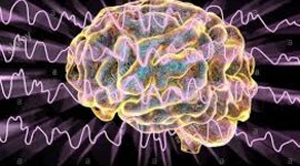 Timeline: FASES DEL SUEÑO