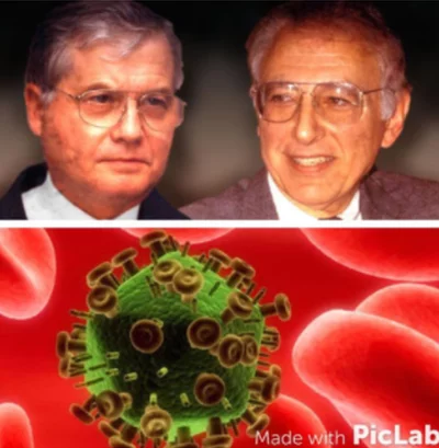 EPULOPISCIUM FISHELSONI-Clements y Bullivant