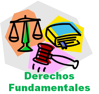 México. Se reconoce a la protección de datos personales como garantía fundamental.