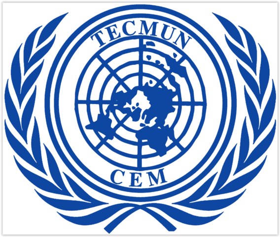 Resolución 3384 de la ONU