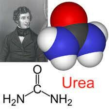 Inicia la síntesis de compuestos orgánicos como la urea