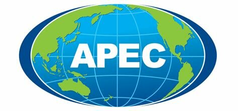 APEC crea un Grupo de Manejo del Comercio Electrónico
