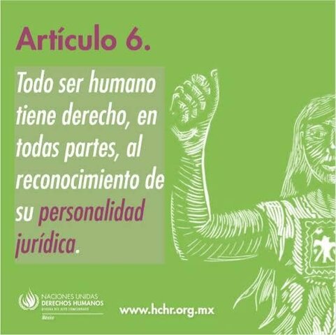 Reforma el art. 6°