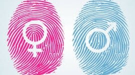 Timeline: Linea de tiempo: Psicología de la sexualidad