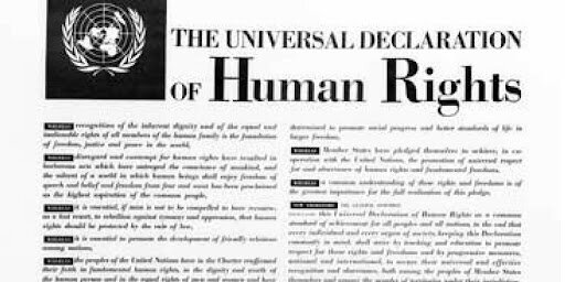 Declaración Universal de Derechos Humanos