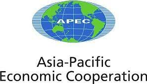 Marco de Privacidad del Foro de Cooperación Económica Asia Pacífico (APEC)