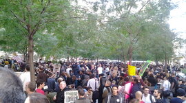 Timeline: The History of Occupy Wall Street (Intro to Journalism feature)