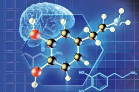 Empezaron a reprogramar células