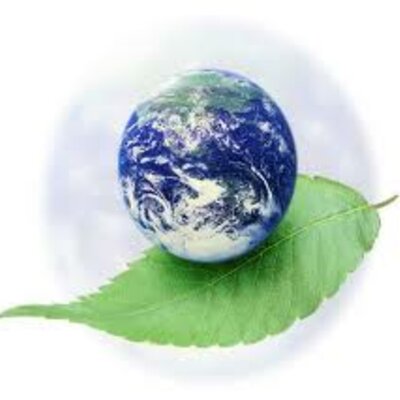 Timeline: History of the Environmental Movement