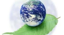 Timeline: History of the Environmental Movement