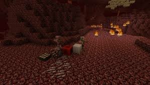 Segunda actualizacion