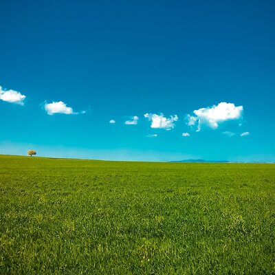 Timeline: DISEÑO GRAFICO