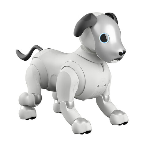 Aibo