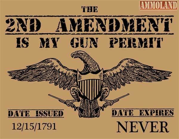 2nd Amendment