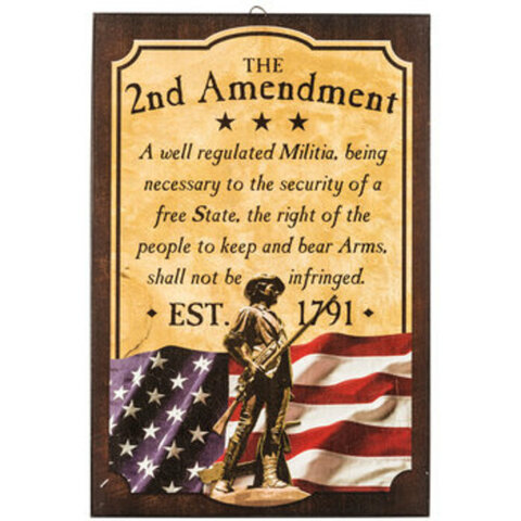 Second Amendment to the United States Constitution