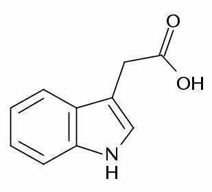 Estructura química de la auxina