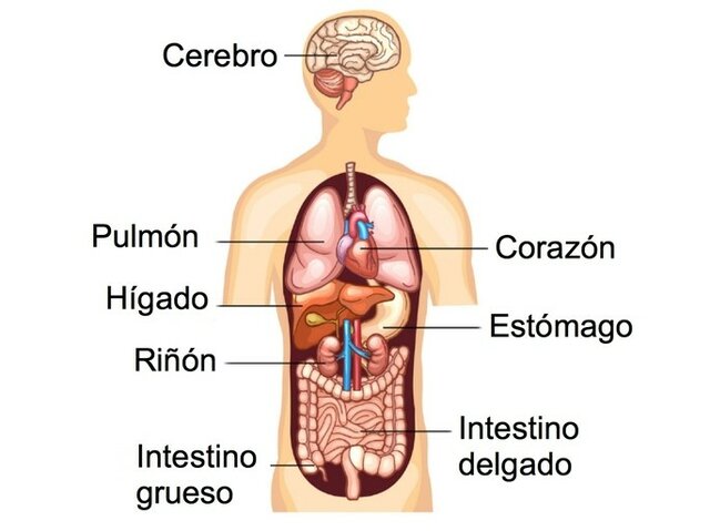 Medicina Persa