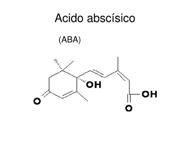 Se encuentra el Acido absicio (ABA). F. Addicott, Wareing y colaboradores