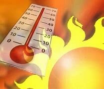 Alta temperatura impide la fijacion de CO2. Salvucci y Crafts - Brandner