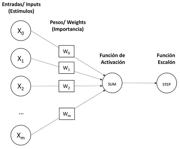 Primer algoritmo que presentaba una red neuronal