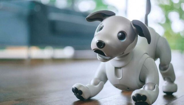 AIBO